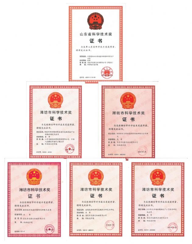 [good news] Longgang silicon Co., Ltd. won the first prize of Weifang Science and Technology Progress Award！