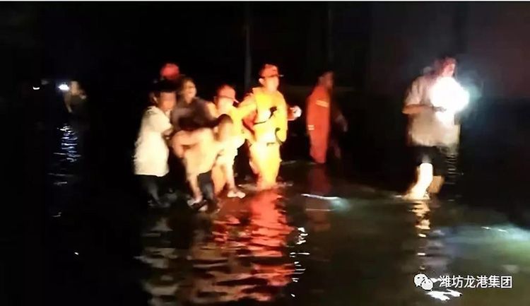 弘揚(yáng)正能量——龍港集團(tuán)員工見義勇為事跡！