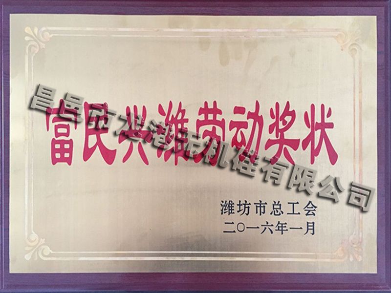 富民興濰勞動(dòng)獎(jiǎng)狀