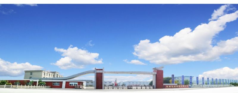 回首過去，不忘初心；展望未來，砥礪前行丨2019，龍港再出發(fā)！