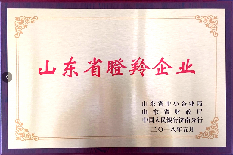 回首過去，不忘初心；展望未來，砥礪前行丨2019，龍港再出發(fā)！