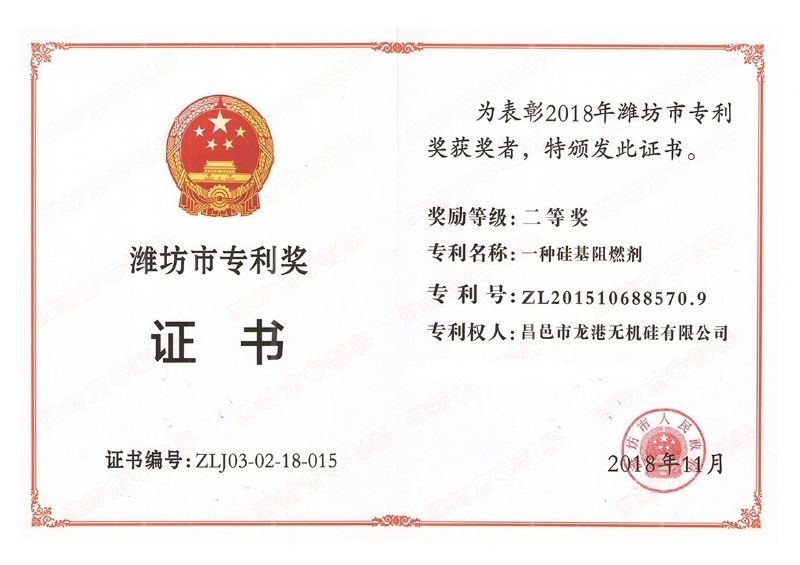 回首過去，不忘初心；展望未來，砥礪前行丨2019，龍港再出發(fā)！