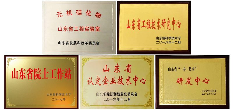 【喜訊】龍港無機硅公司獲批建立山東省無機硅化物工程實驗室！