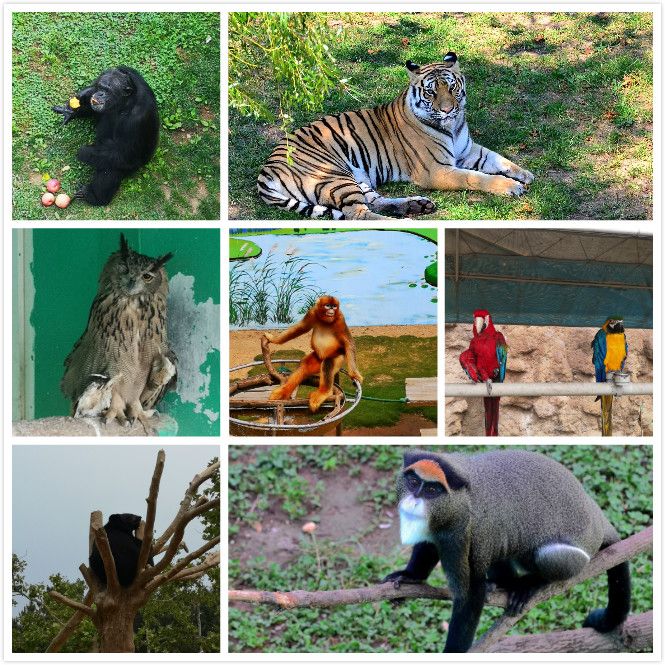 重溫歷史、不忘初心，走進(jìn)自然、愛護(hù)環(huán)境——2019年龍港集團(tuán)員工福利旅游活動(dòng)成功開展！