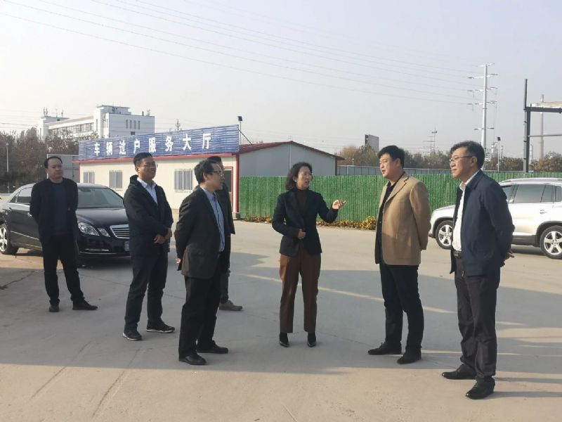市委常委、組織部部長胡筱芹陪同中汽中心專家到龍港汽車城進(jìn)行調(diào)研