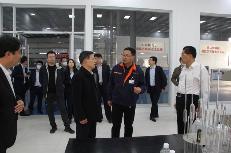 省工信廳領導到龍港硅業(yè)公司開展上市培育和投rongzi調(diào)研及對接服務