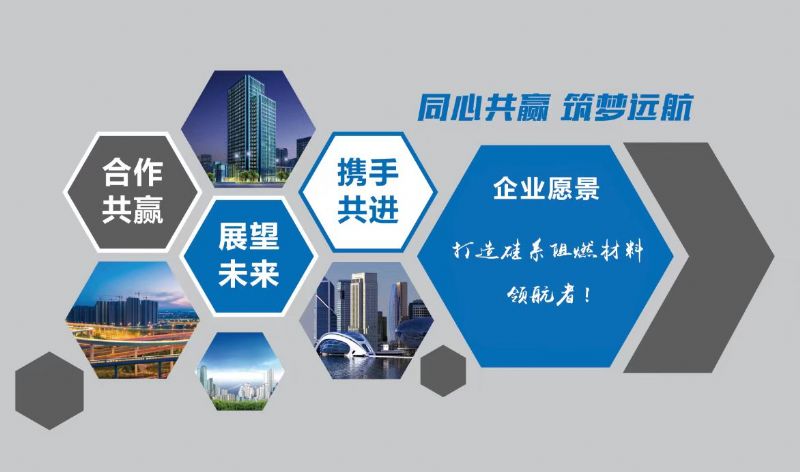 喜報(bào)｜龍港硅業(yè)又獲一項(xiàng)省級(jí)“硬核”獎(jiǎng)！